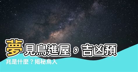 夢見鳥飛進家裡號碼|夢到鳥飛進家裡